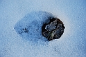 S. Damiano d'Asti - Ultima neve e brina_015